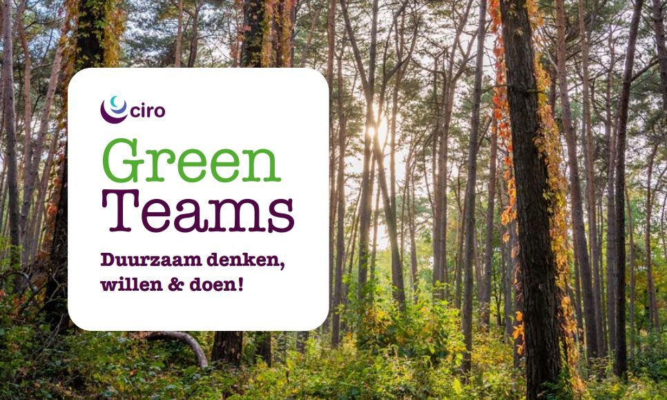 green teams